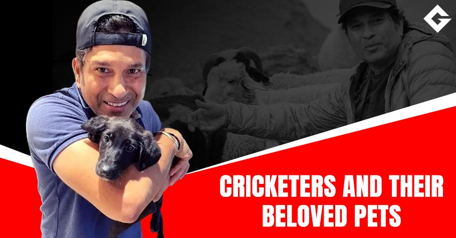 Indian Cricketers And Their Beloved Dogs