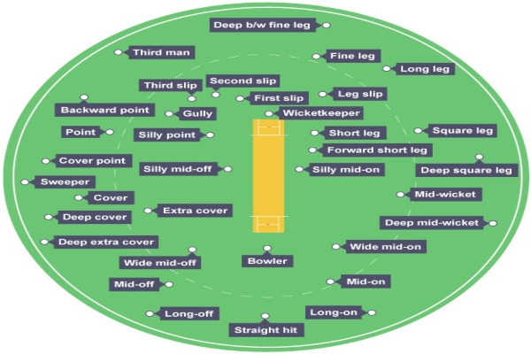 Cricket Fielding Positions Explained For Beginners