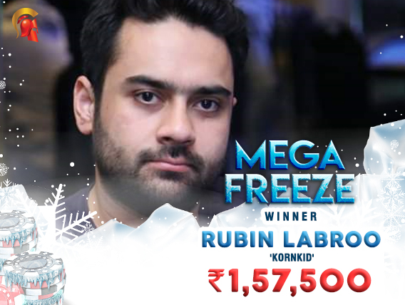 Rubin Labroo Mega Freeze