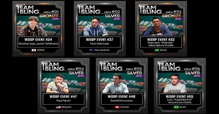 6 WSOP Online Bracelet Winners Receive Natural8 Sponsorships