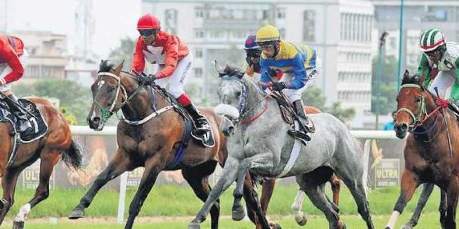 A Basic Understanding of Horse Racing and Betting in India