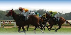 Turf Club authorities gain approval to resume horse racing