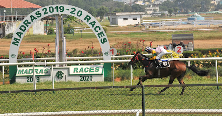 Madras Race Club will resume horse racing in the city