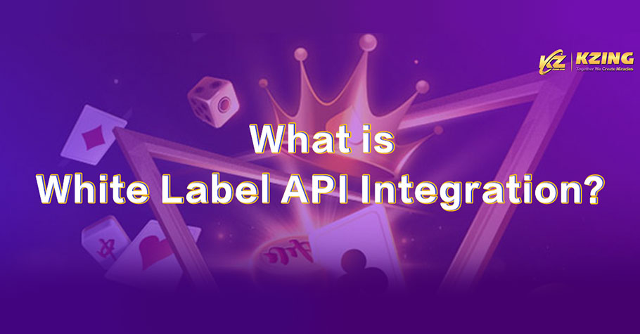 What is White Label API Integration?