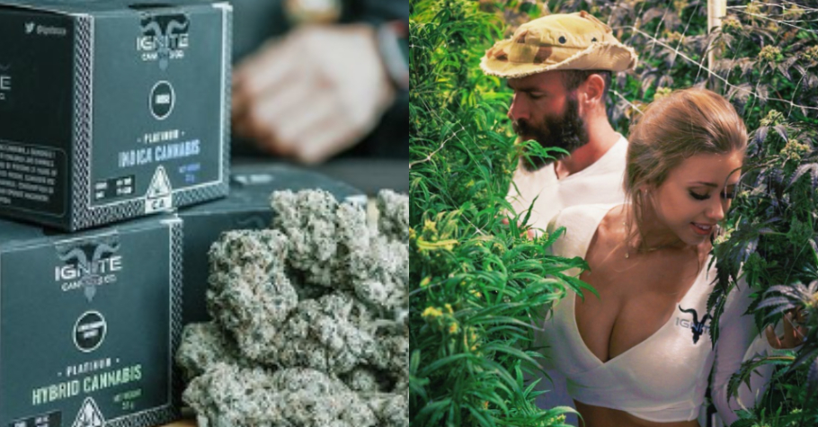 Dan Bilzerian’s Cannabis Company Lands In Trouble With Authorities?