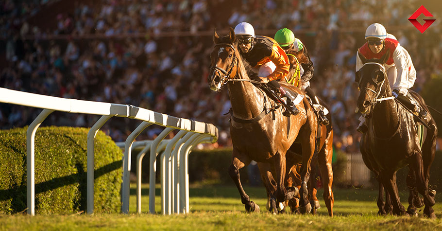 Gambling On Horse Races: All You Need To Know To Get Started