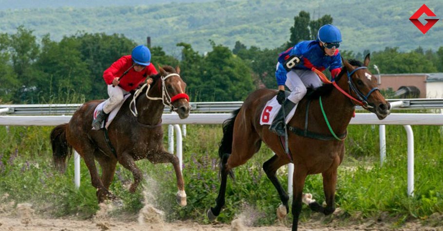 Tips and Tricks for Successful Horse Betting Online