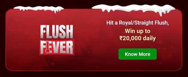 Junglee Poker Winter Wins: Flush Fever