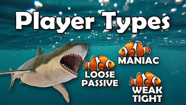 Types of Online Poker Players